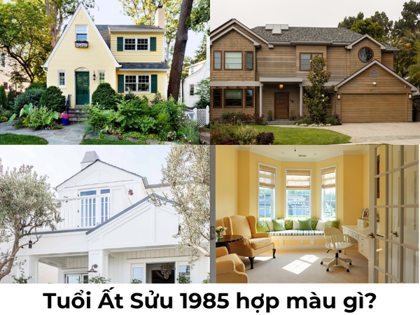 Nữ tuổi Sửu 1985 hợp màu gì 2024 tương sinh theo Ngũ Hành